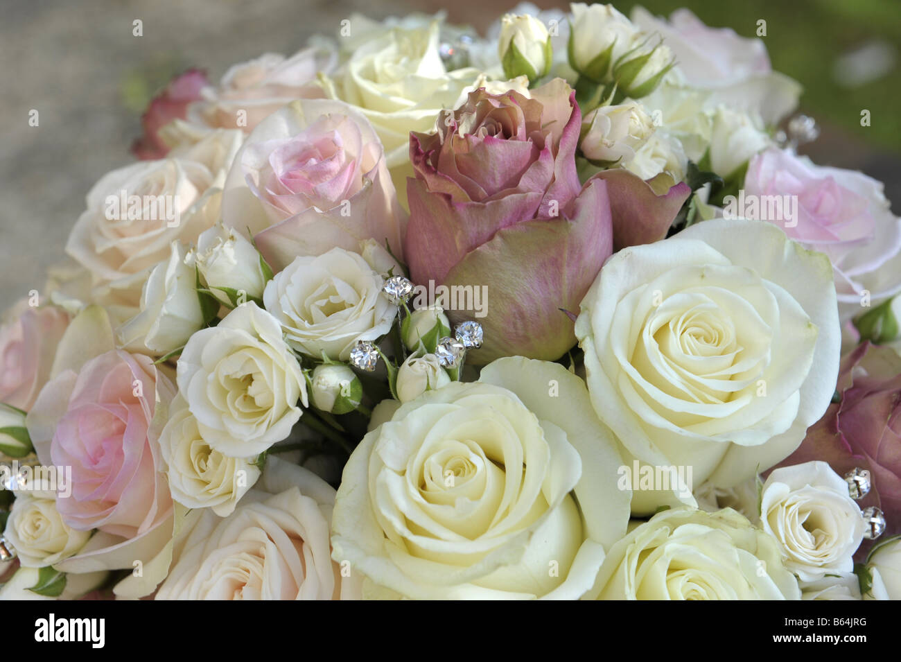 Brautstrauß-Corsage aus weißen, cremefarbenen und rosa Rosen Stockfoto