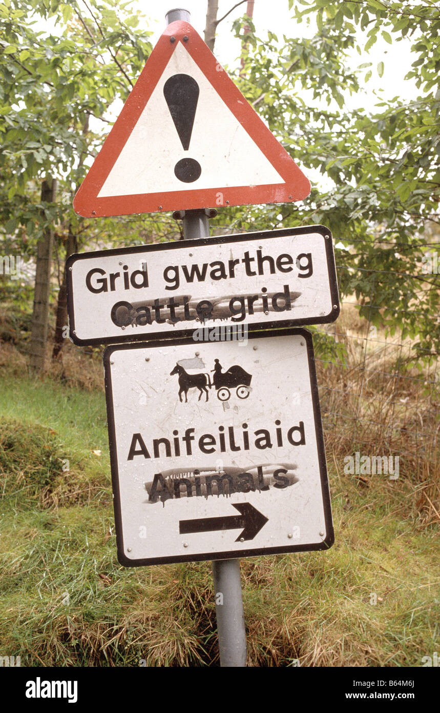 Rinder-Zeichen auf einer Straße in Wales geschrieben in Englisch und Gälisch mit englischen Wörtern übermalt Stockfoto