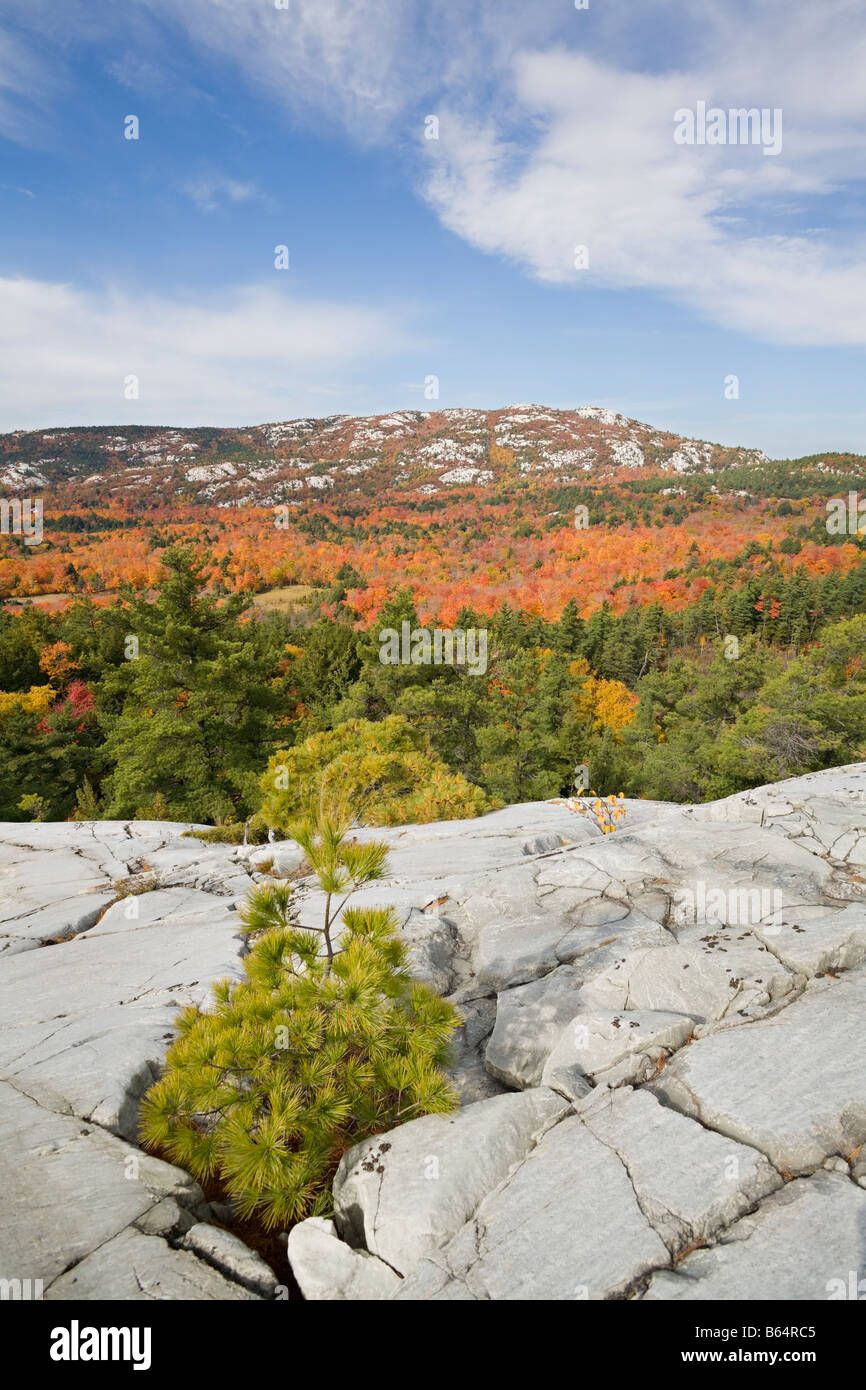 Quarzit Lefka am Gipfel Herbstfärbung im Süden La Cloche Bereich, Killarney Provincial Park, Ontario, Kanada. Stockfoto