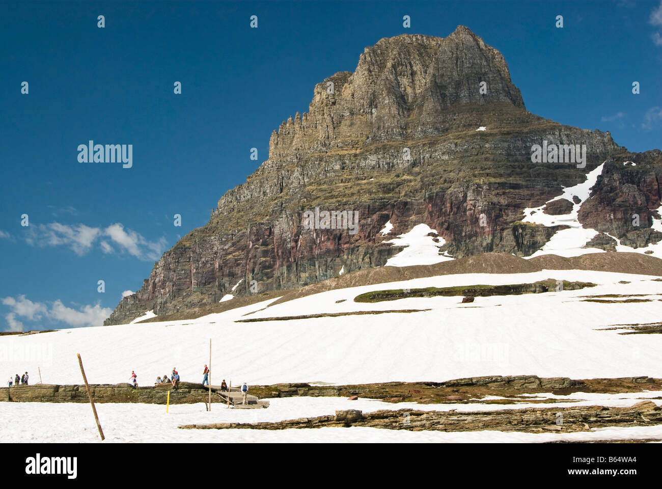 Besucher auf den Hidden Lake Trail in Glacier Nationalpark Stockfoto