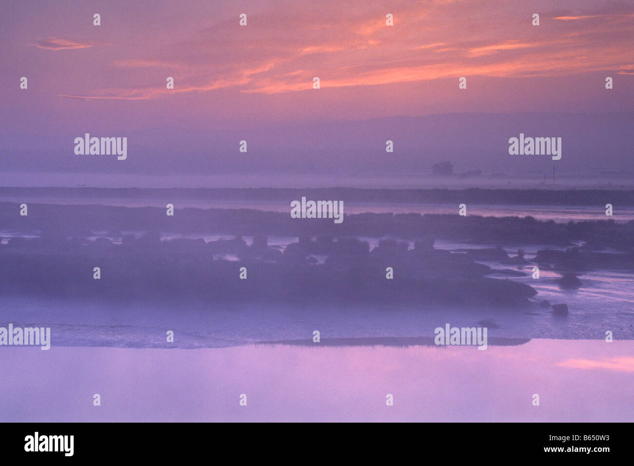 Sunrise Licht und Morgennebel in das Wattenmeer zwischen Arcata und Manila Humboldt County in Kalifornien Stockfoto