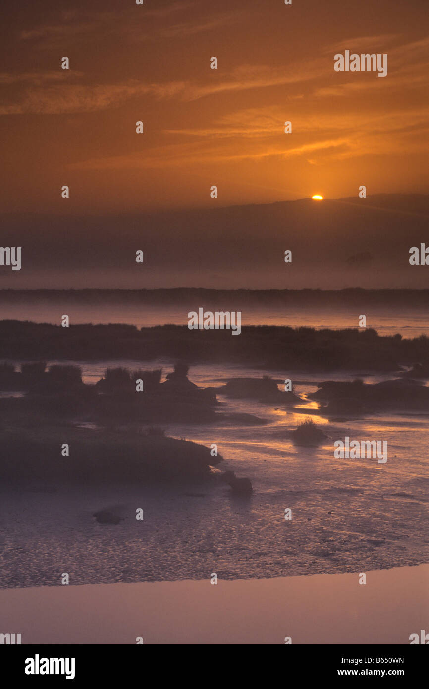 Sonnenaufgang über das Wattenmeer zwischen Arcata und Manila Humboldt County in Kalifornien Stockfoto