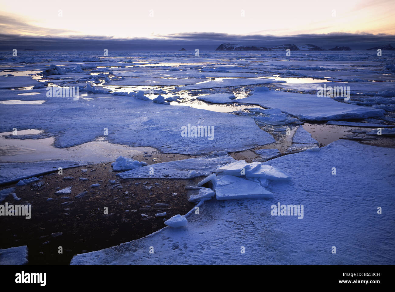 Packeis Svalbard Stockfoto