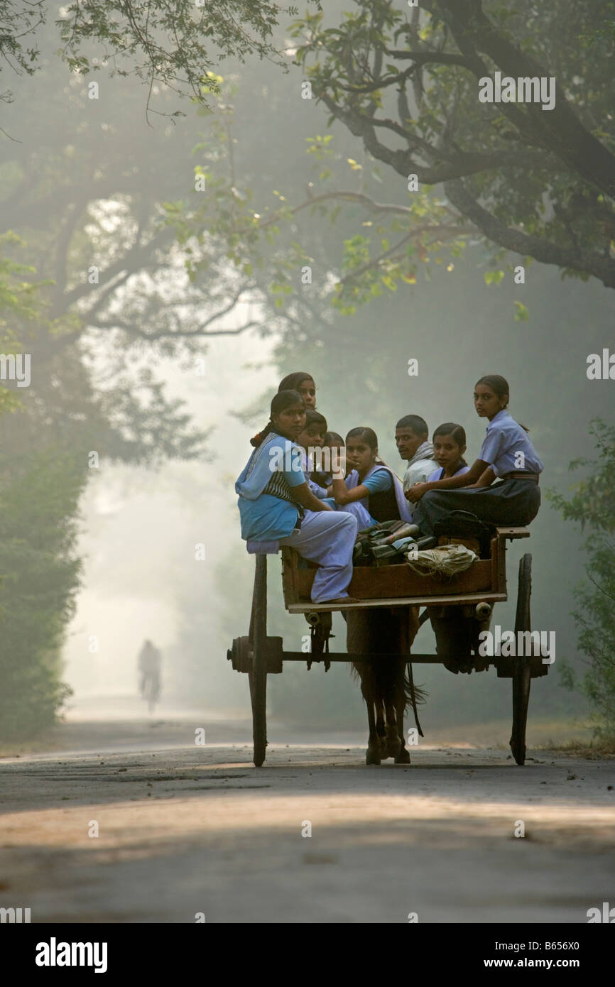 Lucknow, Uttar Pradesh, Indien, Landschaft in der Nähe von Rae Bareli, Schulkinder mit Ochsenkarren nach Hause gehen Stockfoto