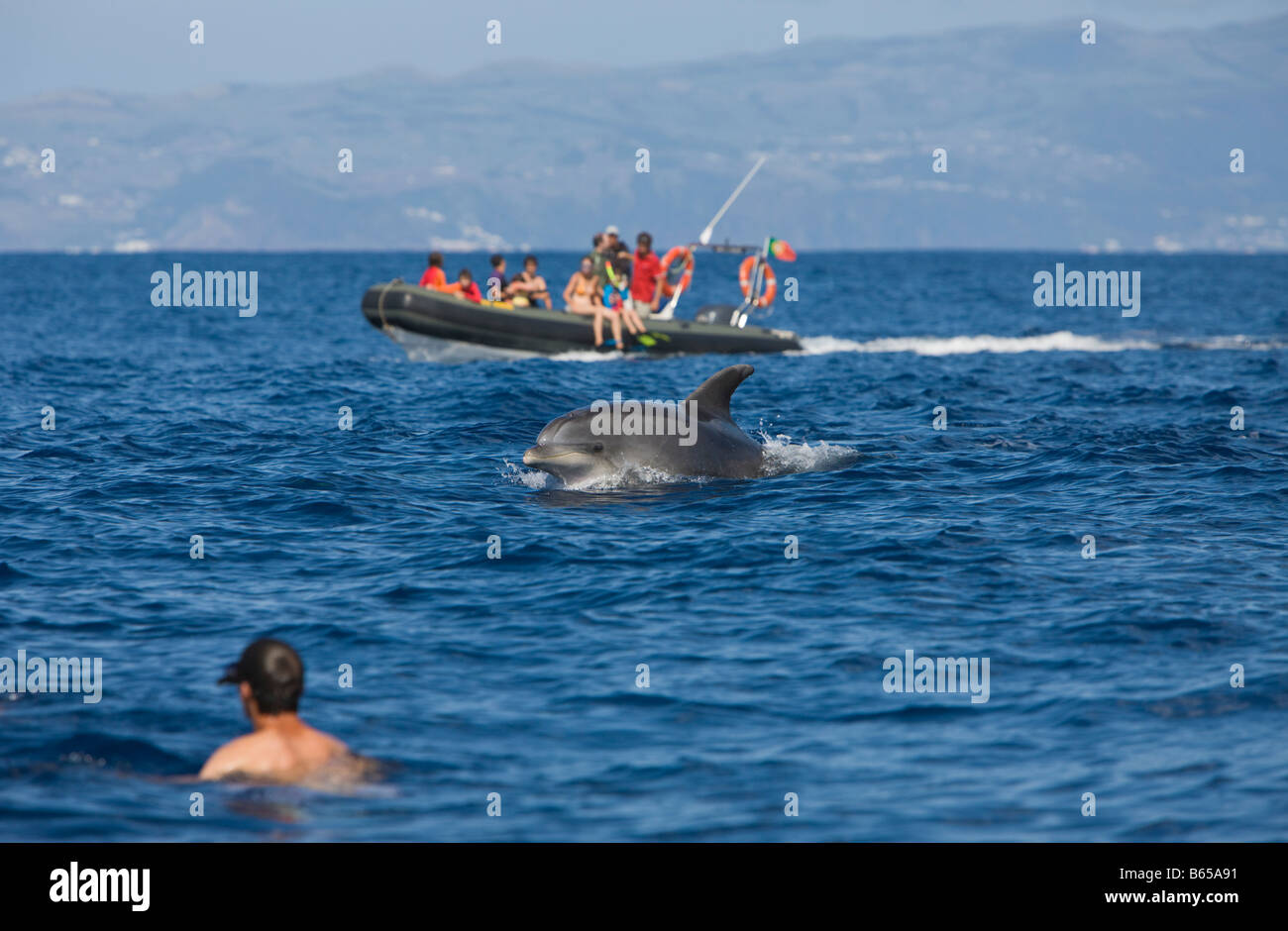 Touristen am Dolphin watching Tour Tursiops Truncatus Azoren Atlantik Portugal Stockfoto
