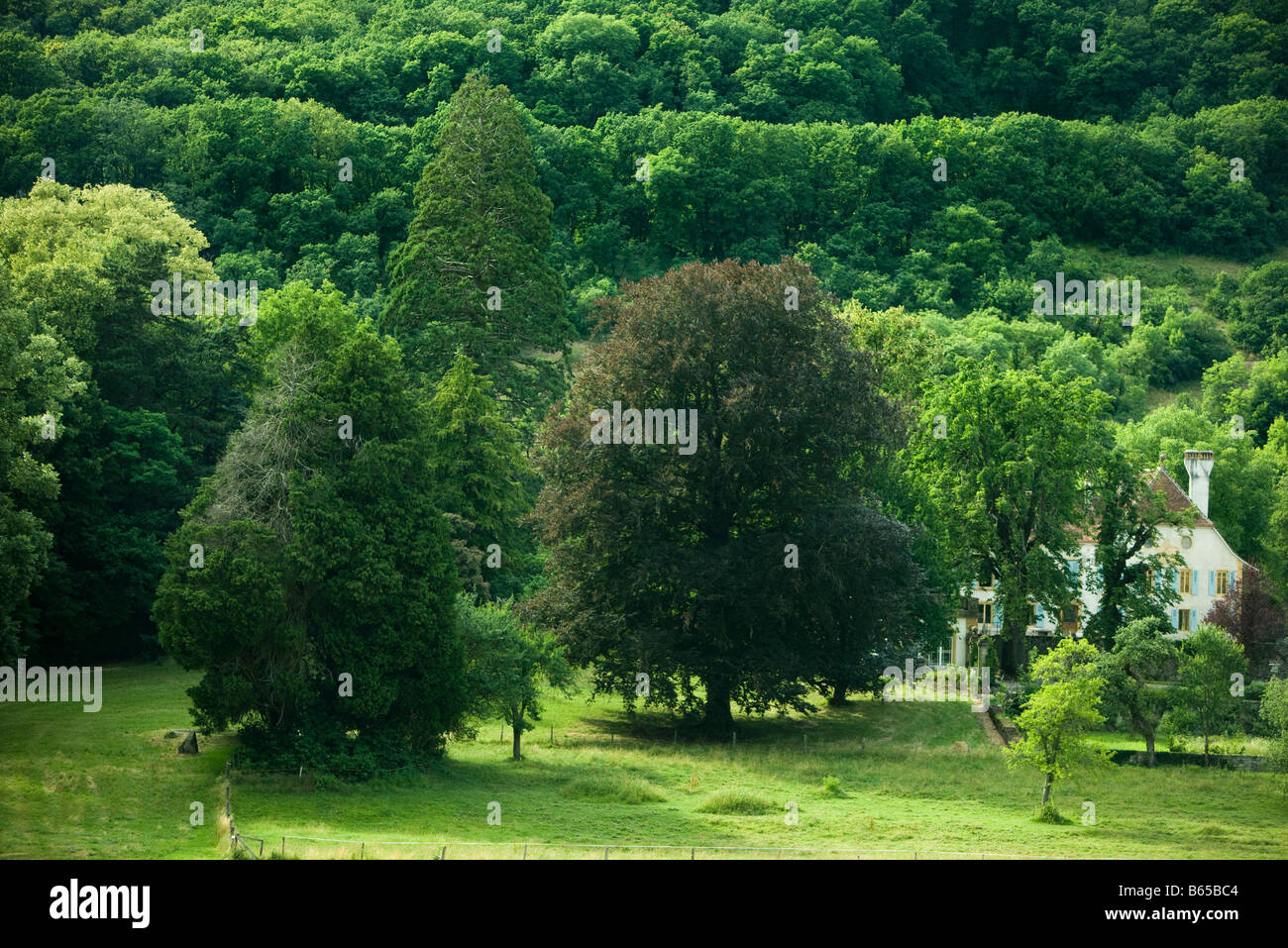 Ländliches Motiv, Bäume verdeckt Bauernhaus Stockfoto