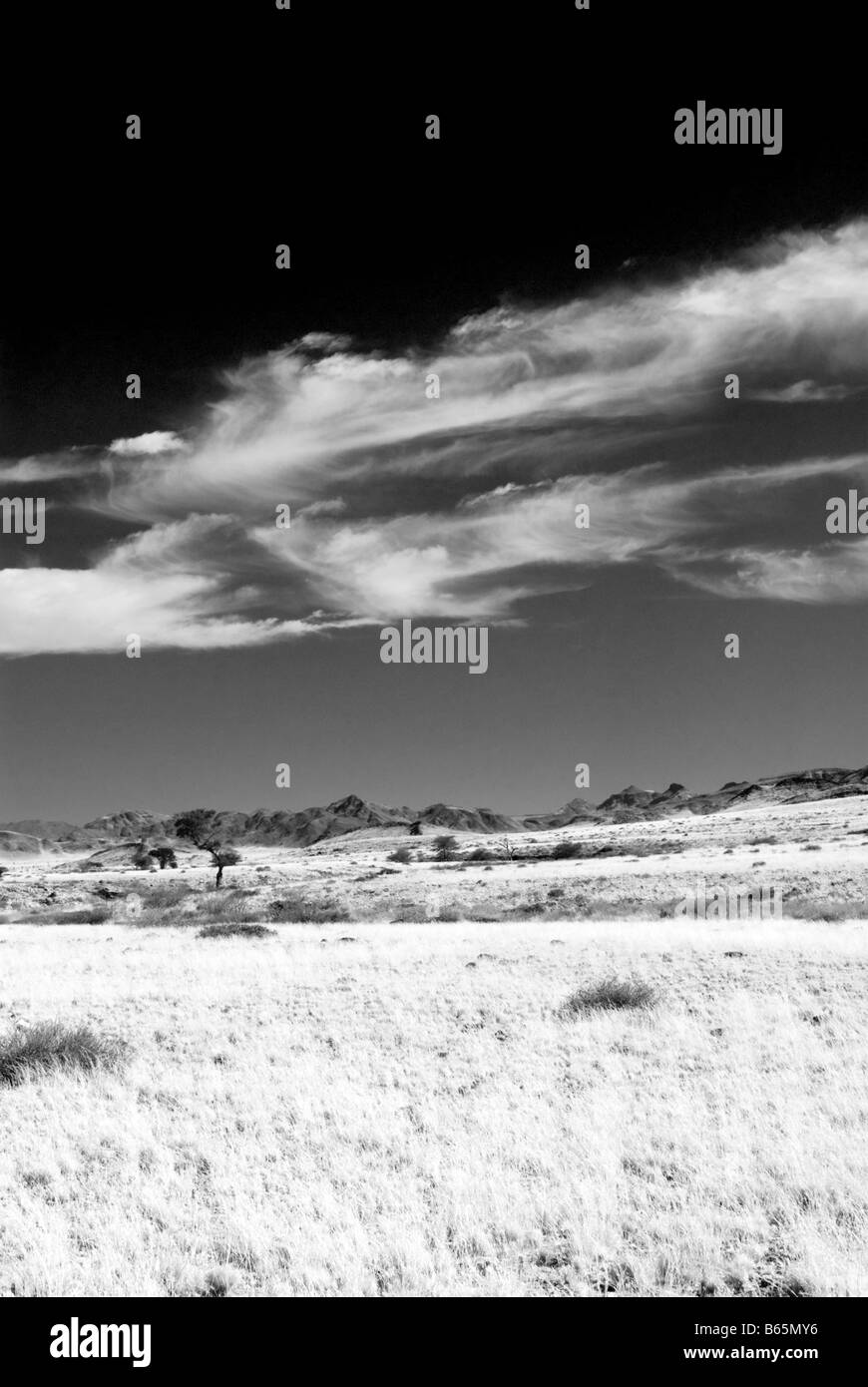 Trockenrasen der namibischen Savanne in der Nähe von Sesriem Namibia Stockfoto