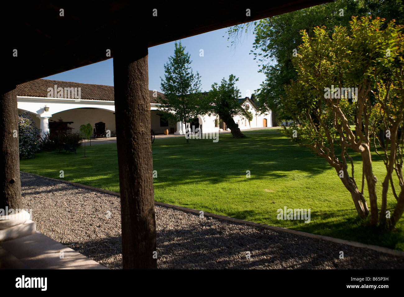 Weingut und Weinberg Francisco Undurraga Maipo Valley, Chile Stockfoto