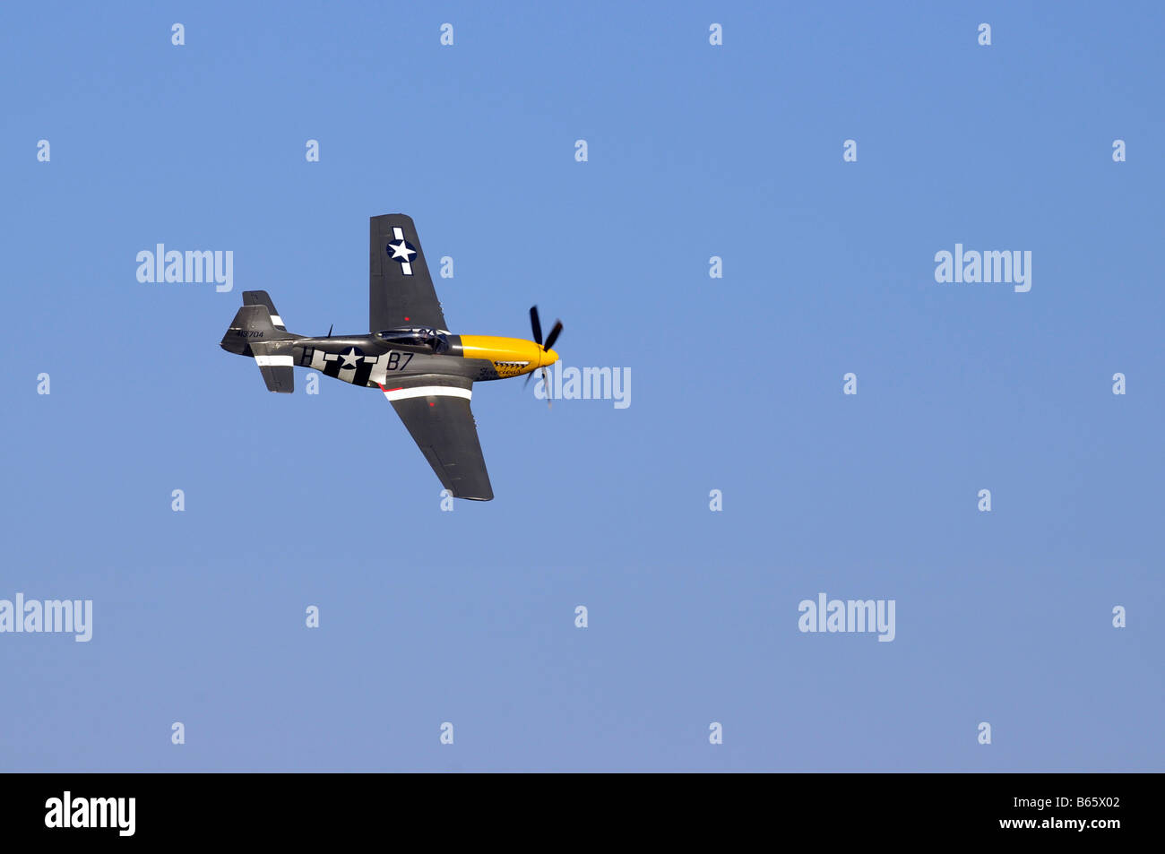 Wilder Frankie Mustang P51D Stockfoto