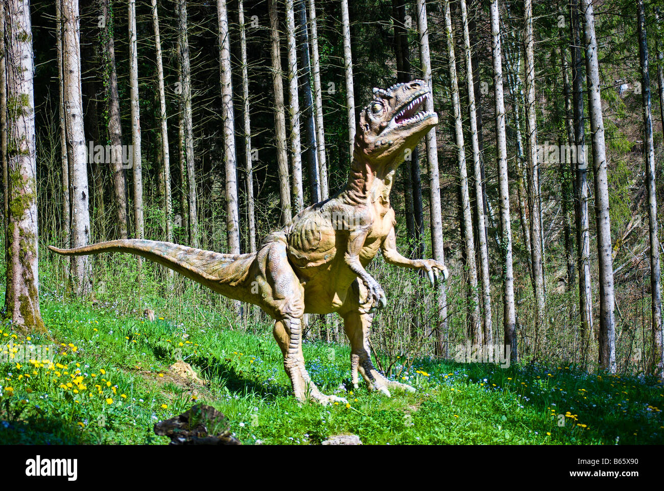 Lebensgroße Modell von einem Velociraptor, Dino Zoo, Charbonnières Les Sapins, Frankreich. Charles W. Lupica Stockfoto