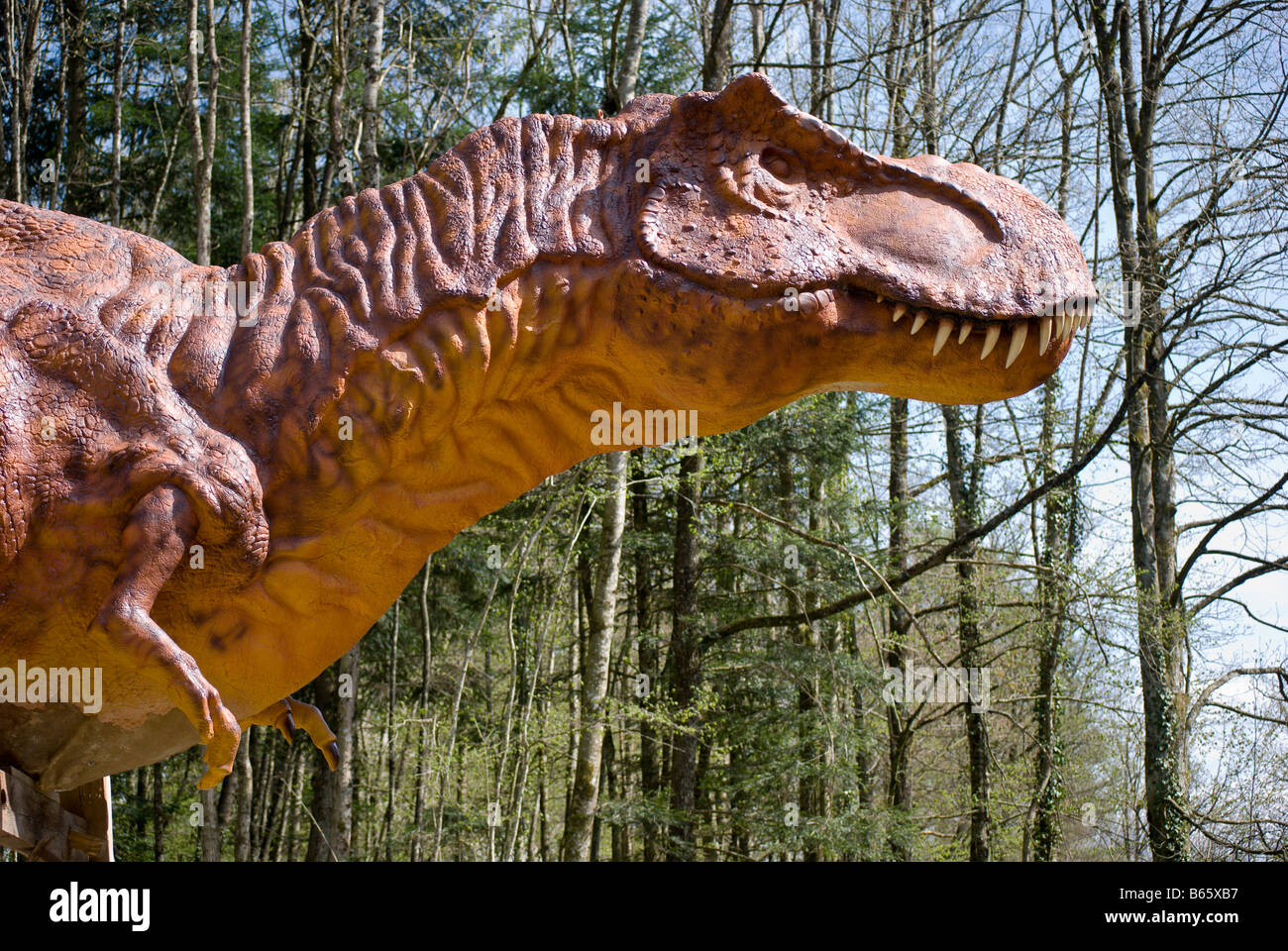 Dinosaurier - Tyrannosaurus Rex, ein Velociraptor, Dino Zoo, Charbonnières Les Sapins, Frankreich durch Charles W. Lupica Stockfoto