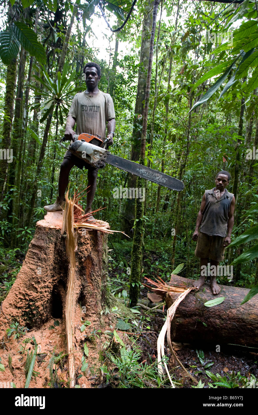 Logger schneiden Sie einen Baum in der Nähe von Morere, in der Turama Erweiterung Protokollierung Konzession, Gulf Provinz, Papua Neu Guinea Stockfoto