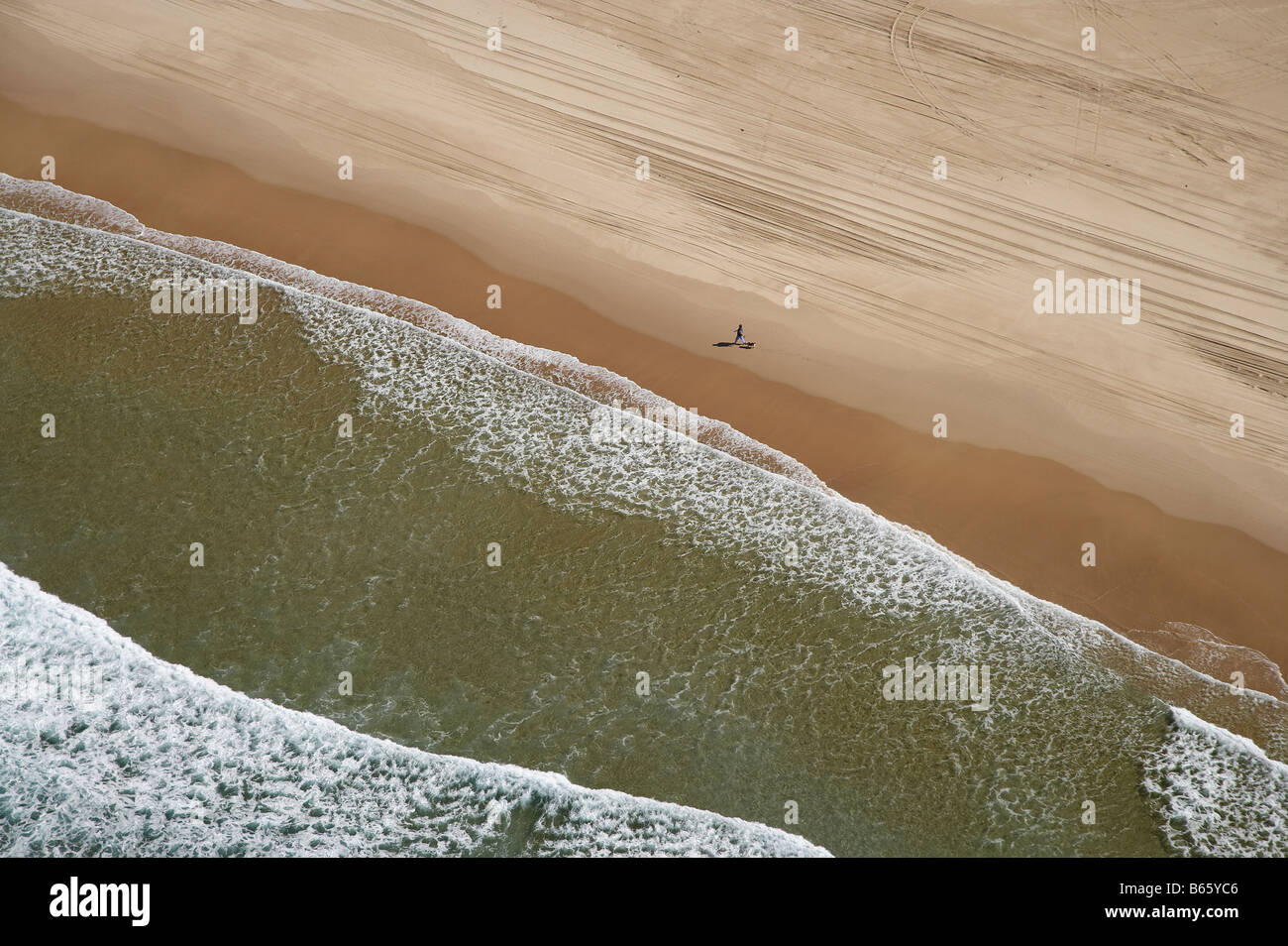 Person zu Fuß Hund Stockton Beach Newcastle New South Wales Australien Antenne Stockfoto