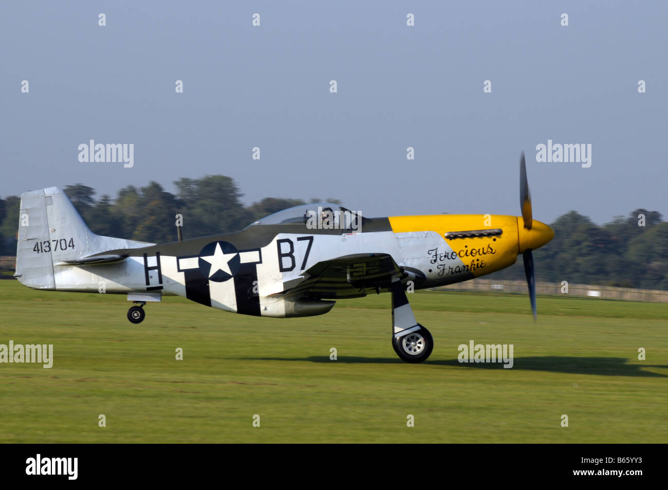 Wilder Frankie Mustang P51D Stockfoto