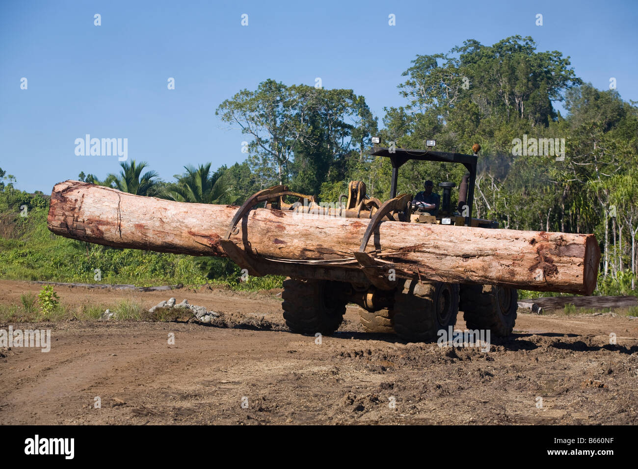 Ndrahong Anmeldung Camp und Teich, auf Manus Insel, Papua Neu Guinea, Dienstag, 30. September 2008 Stockfoto