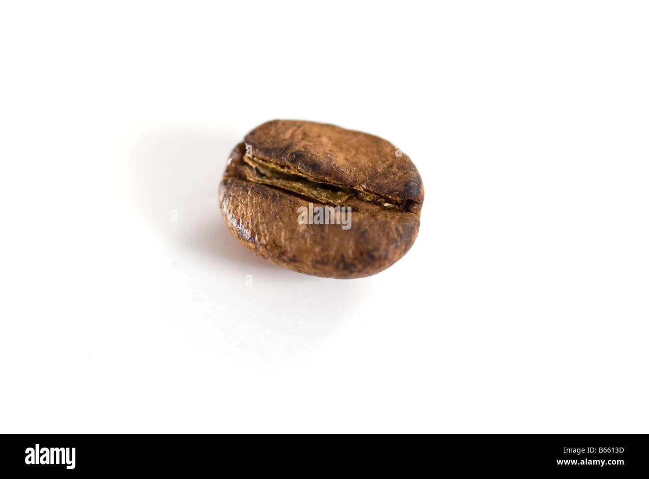 Ein einziger geröstete Kaffeebohne Stockfoto