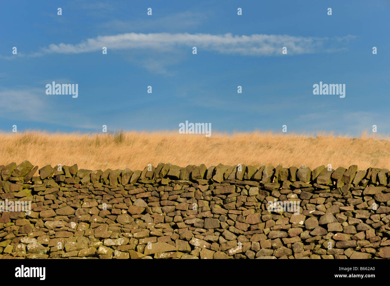 Trocknen der Steinmauer Skipton Yorkshire Dales Stockfoto