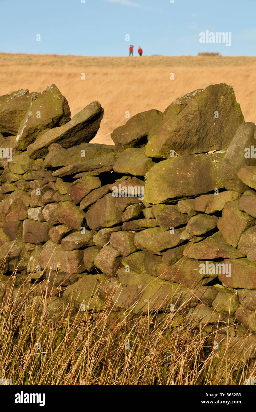 Steinmauer scharfe Haw Skipton Yorkshire trocknen Stockfoto