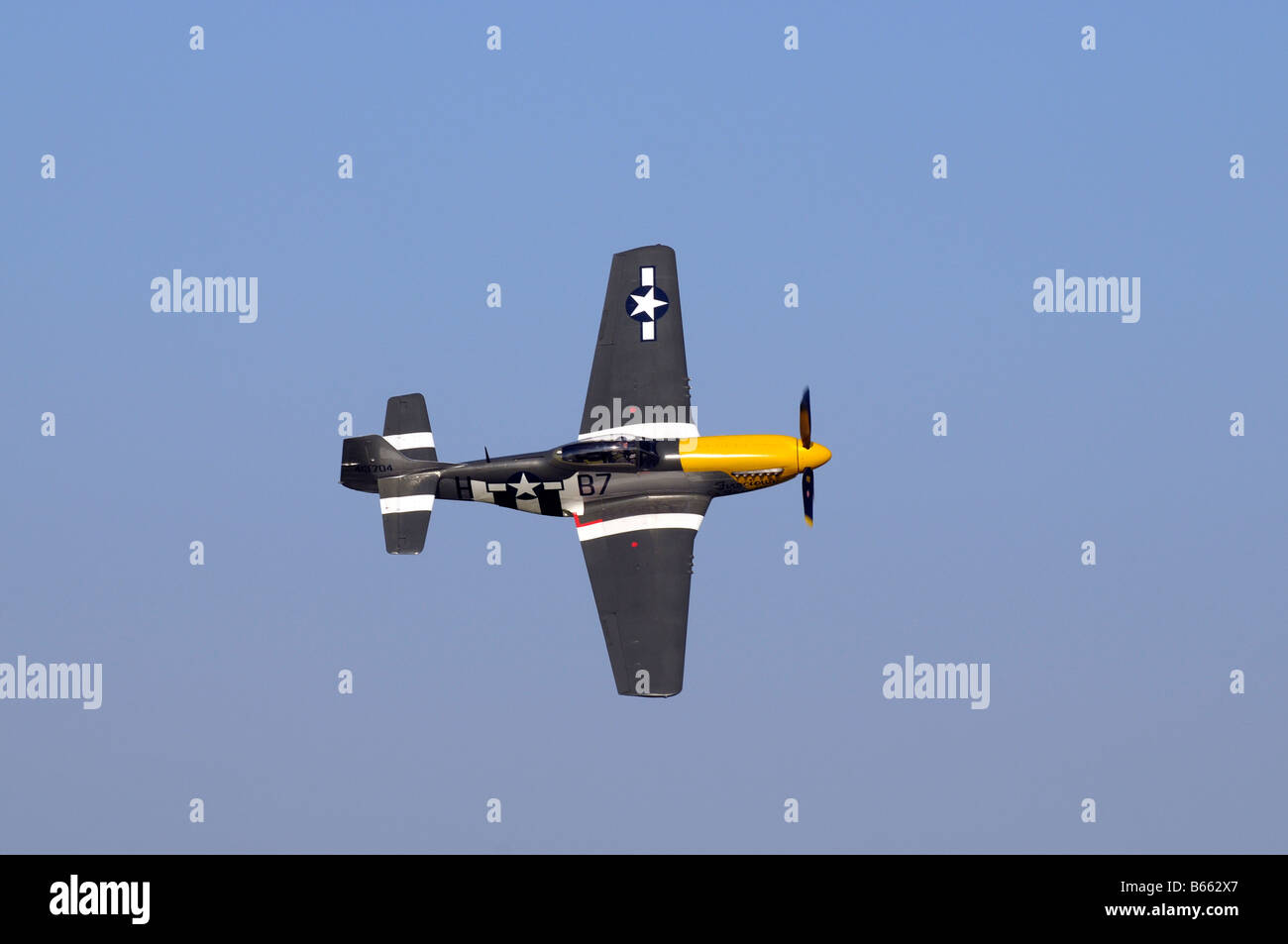 Wilder Frankie Mustang P51D Stockfoto