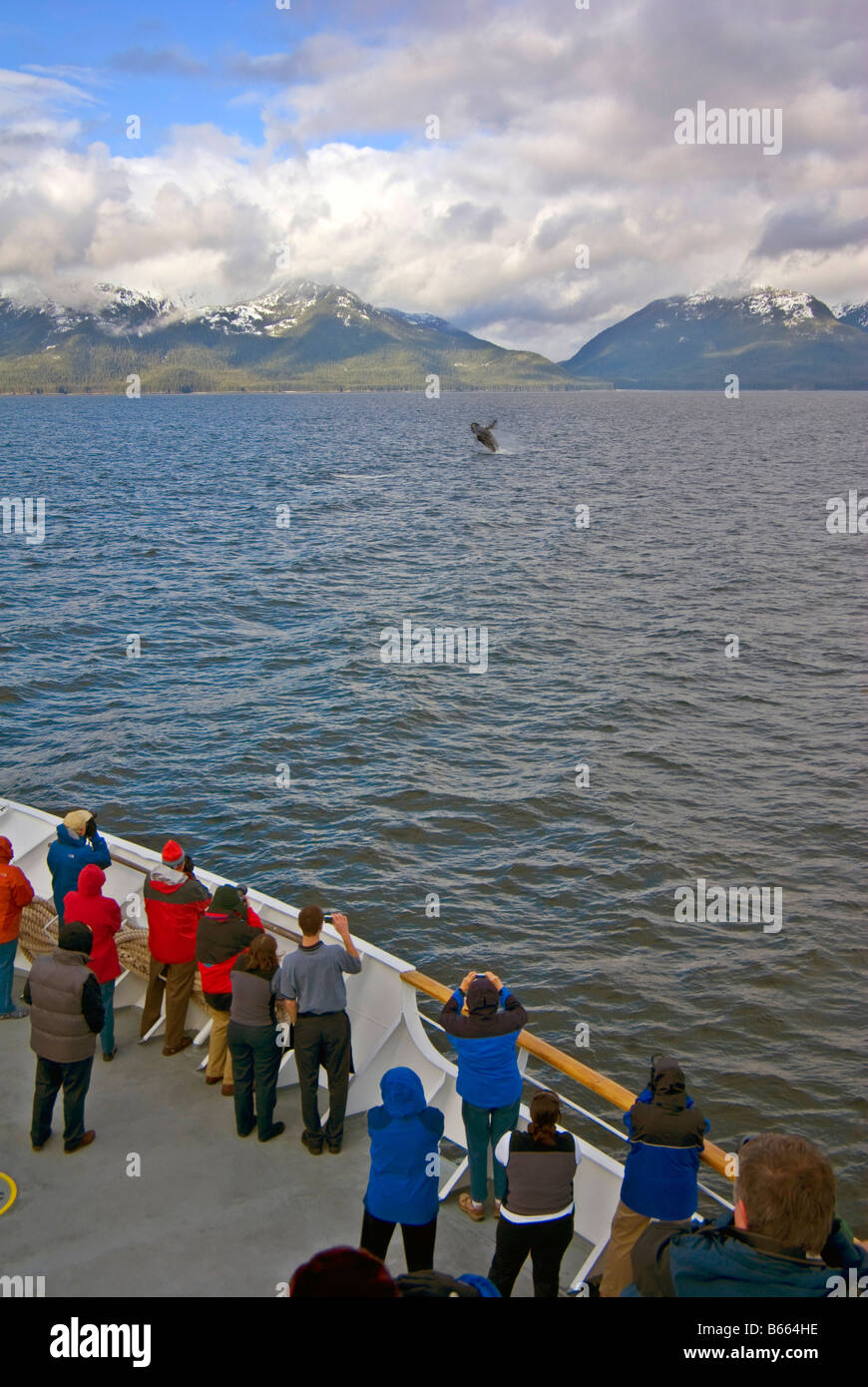 Walbeobachtung an Bord eines Kreuzfahrt Schiff, Frederick Sound, Alaska Stockfoto