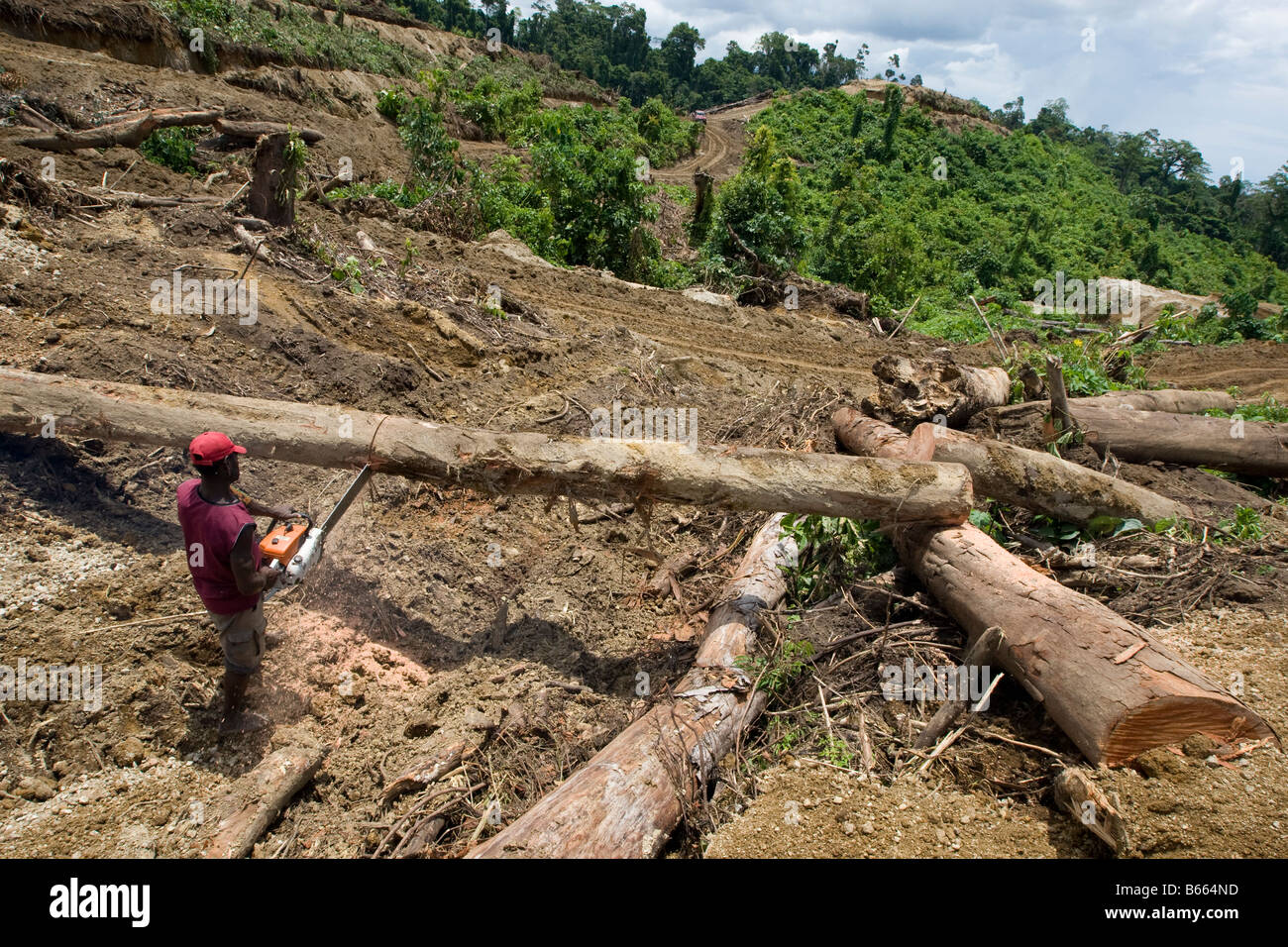 Kettensäge-Betreiber Kreuz geschnittene gefällte Bäume in der verwüsteten Landschaft die kürzlich gefällte natürlicher Wälder, Papua-Neu-Guinea Stockfoto