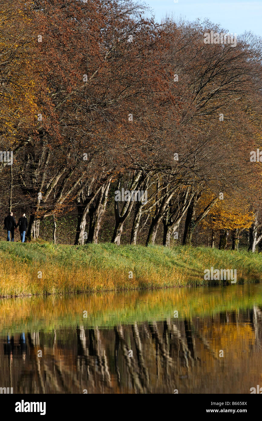 Hainbuche Bäume (Carpinus Betulus) Reflexion im Wasser, romantische Insel, See, Chiemsee, Chiemgau, Oberbayern, Deutschland, Stockfoto