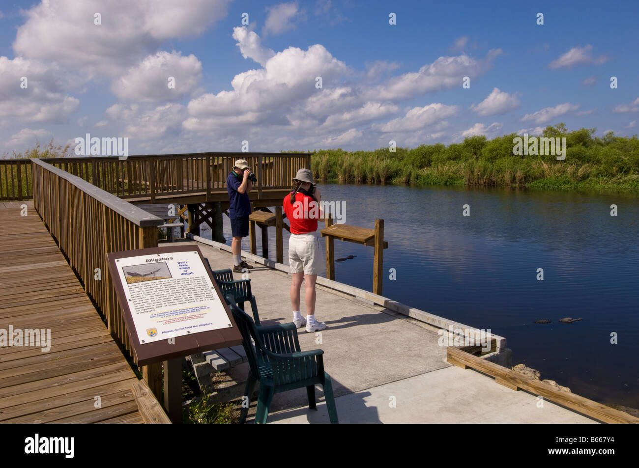 Loxahatchee National Wildlife Refuge Goldküste Florida Vereinigte Staaten von Amerika Stockfoto