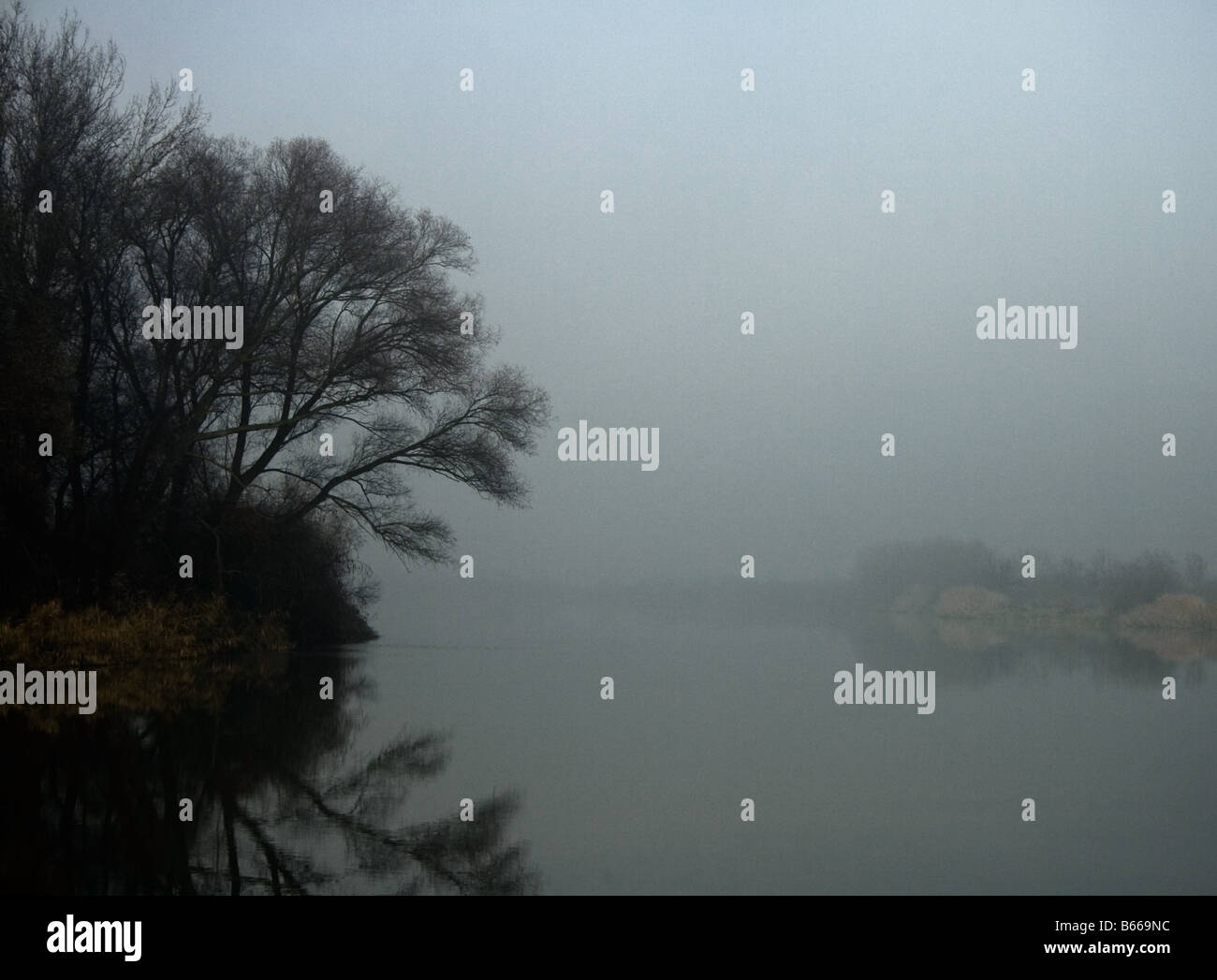 Nebel über dem Fluss Stockfoto