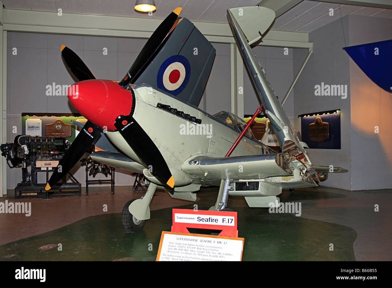 Eine Supermarine Seafire auf dem Display an der FAAM Yeovilton Stockfoto