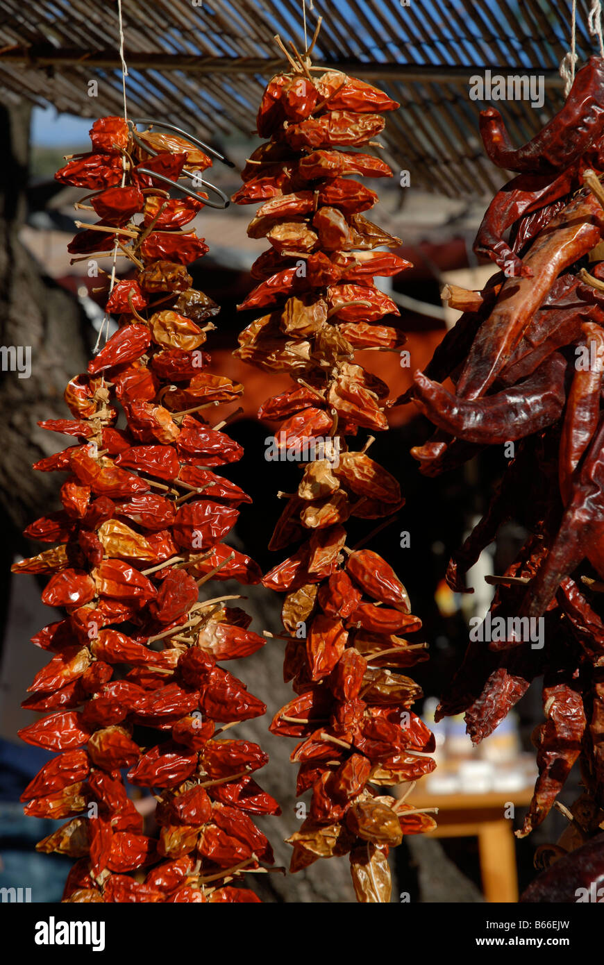 Strings von getrockneten roten Chilischoten zu verkaufen, in der Nähe von Guadalest, Vall de Guadalest, Comunidad Valenciana, Provinz Alicante, Spanien Stockfoto