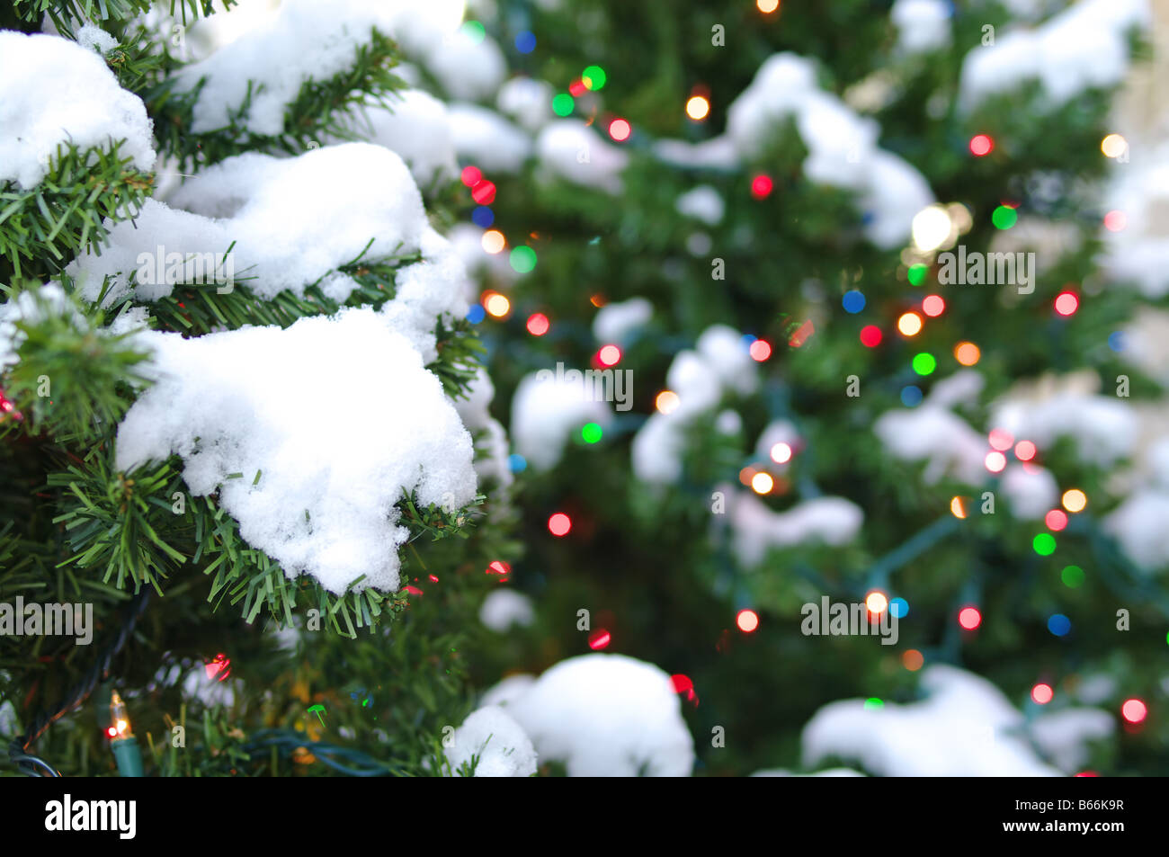 Weihnachtsbaum mit Lichtern mit Schnee bedeckt Stockfoto