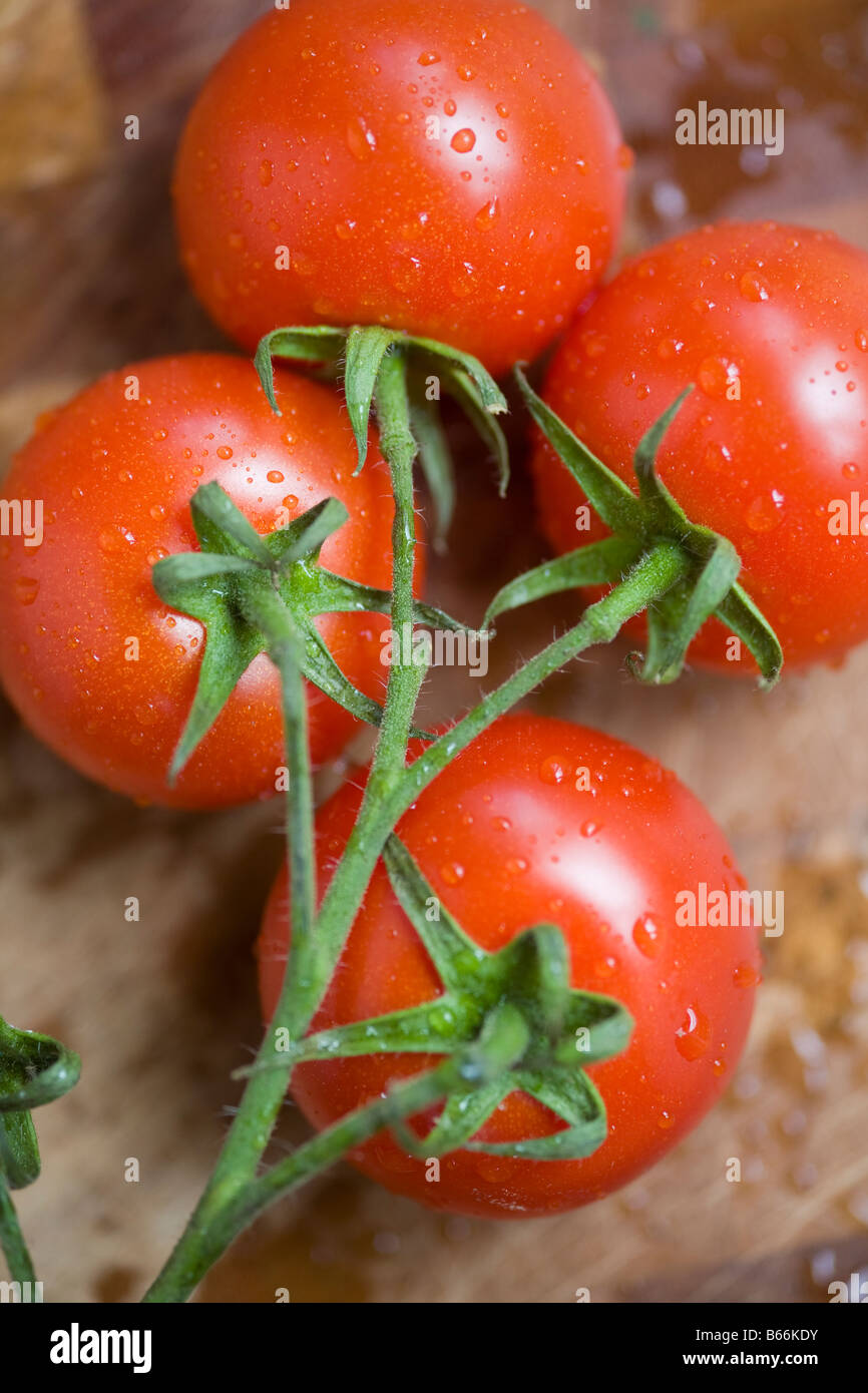 Reihe von Rebe reife Tomaten Stockfoto