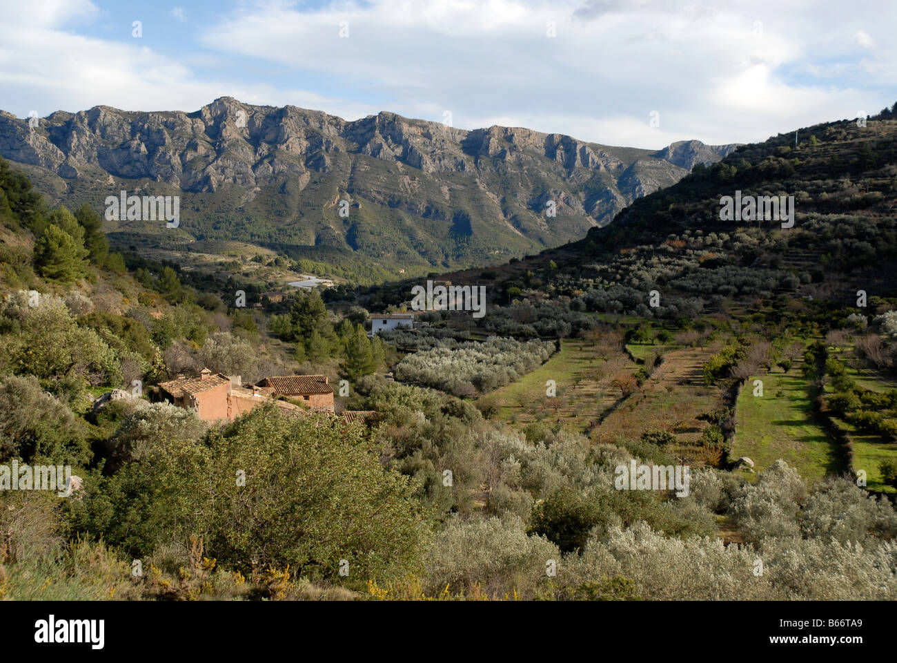 zeigen Sie Tal Sierra Ferrer, in der Nähe von Dorf Tarbena an, Marina Baixa, Comunidad Valenciana, Provinz Alicante, Spanien Stockfoto