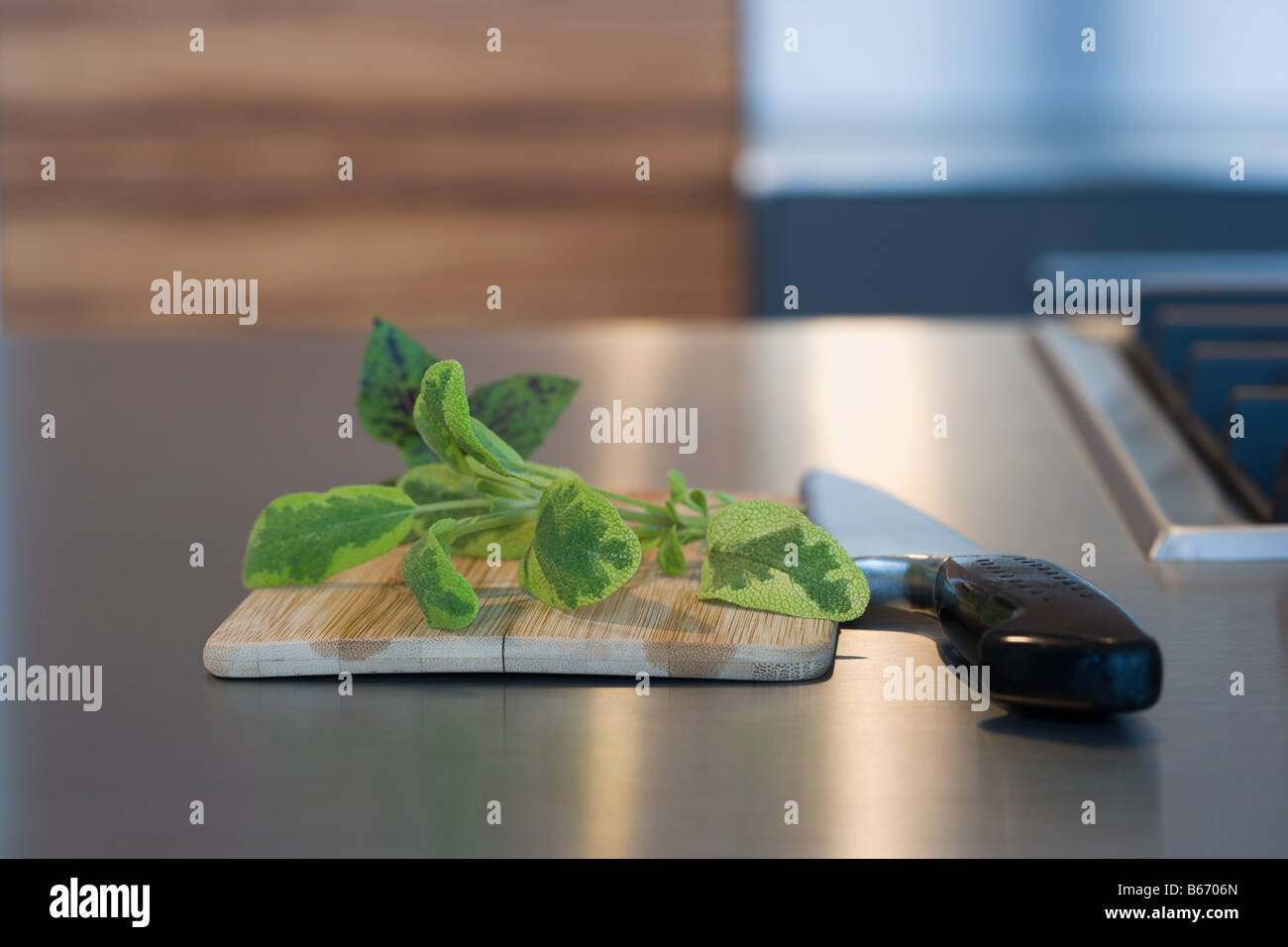 Kraut-Schneidebrett und Messer Stockfoto