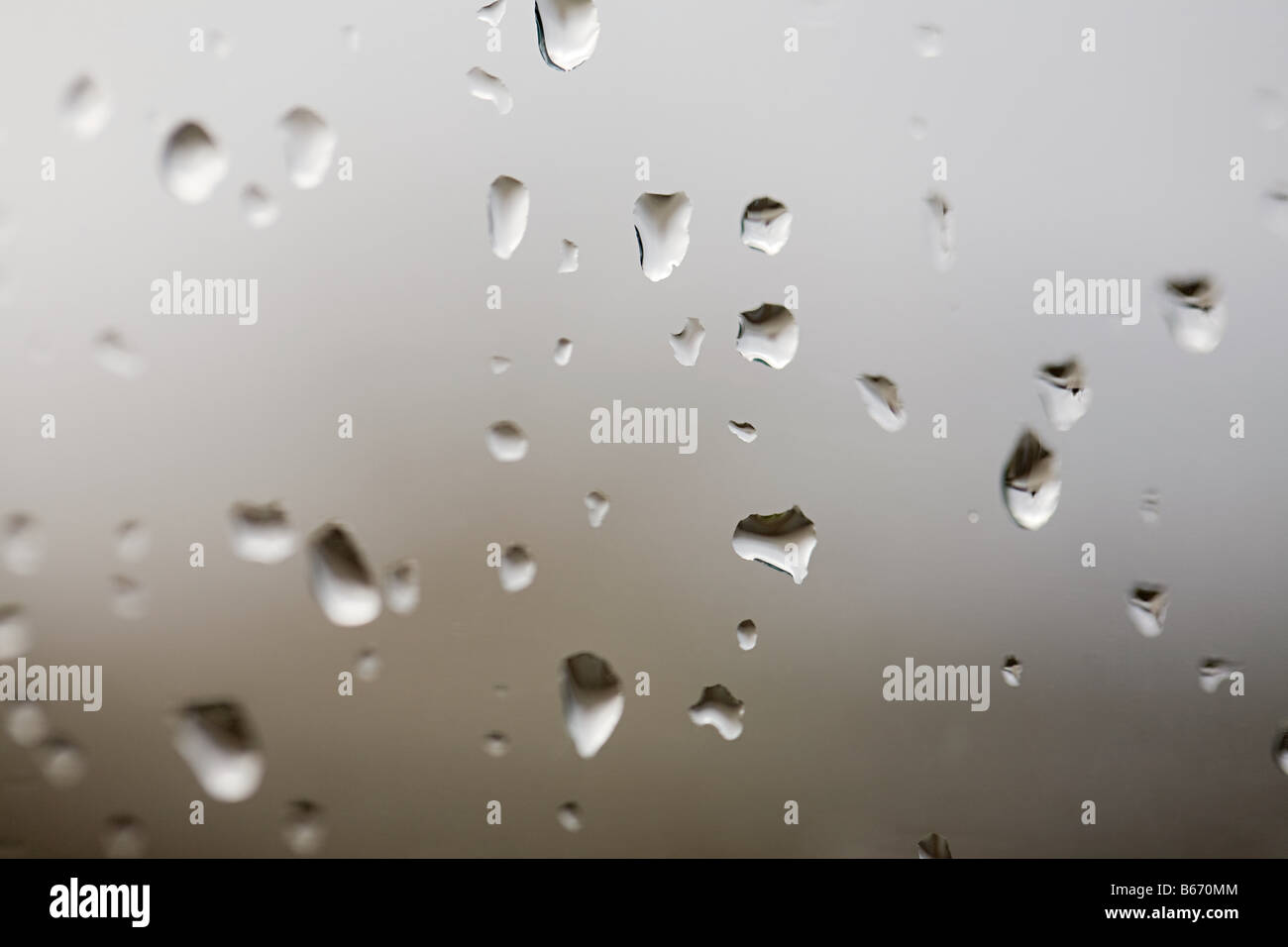 Regen-Tropfen auf einem Fenster Stockfoto