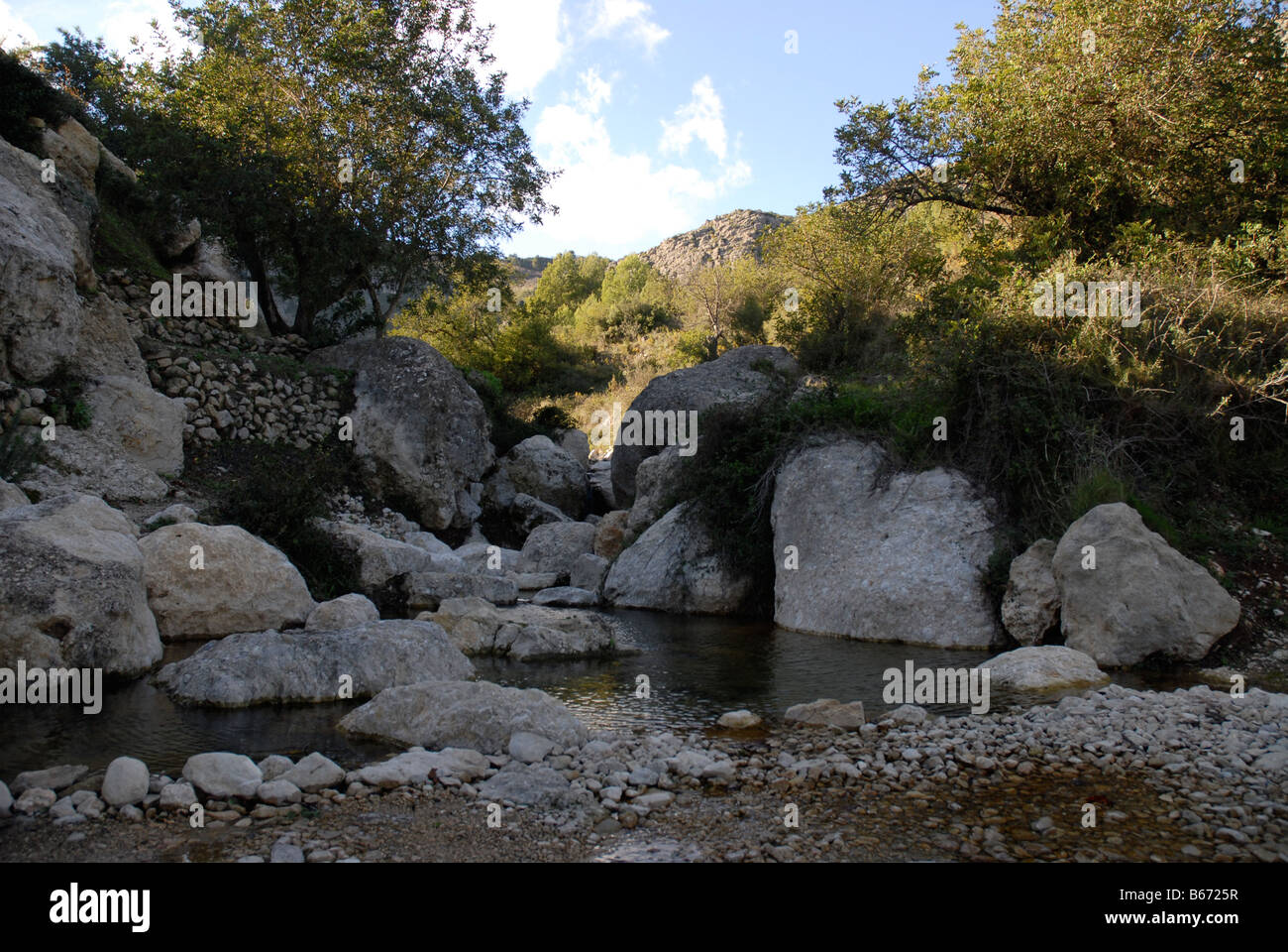 Bach im Tal in der Nähe von Marina Baixa, Provinz Alicante, Comunidad Valenciana, Tarbena, Spanien Stockfoto