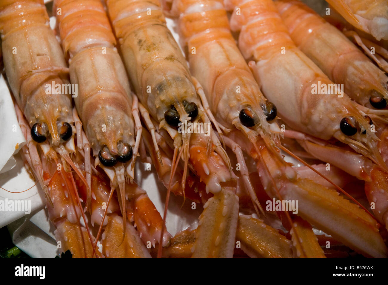 Geeiste Angoustines auf dem Display vor Restaurant in Venedig Italien Stockfoto