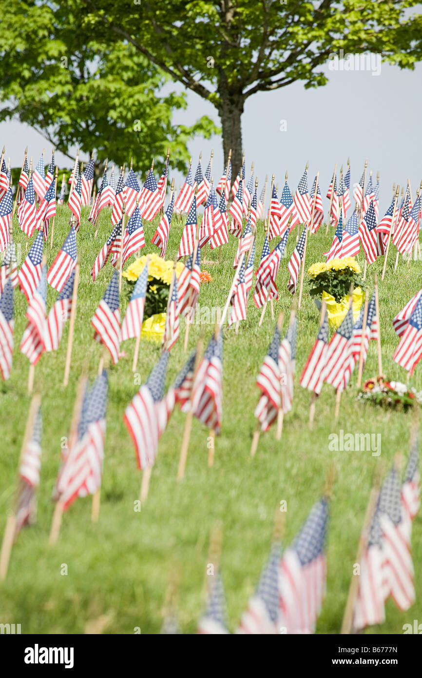 Amerikanische Flaggen auf einem Friedhof Stockfoto