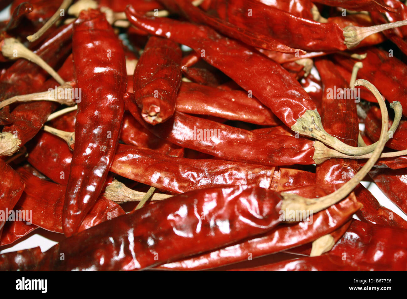 Gruppe von Red Chillies zusammengestellt Stockfoto