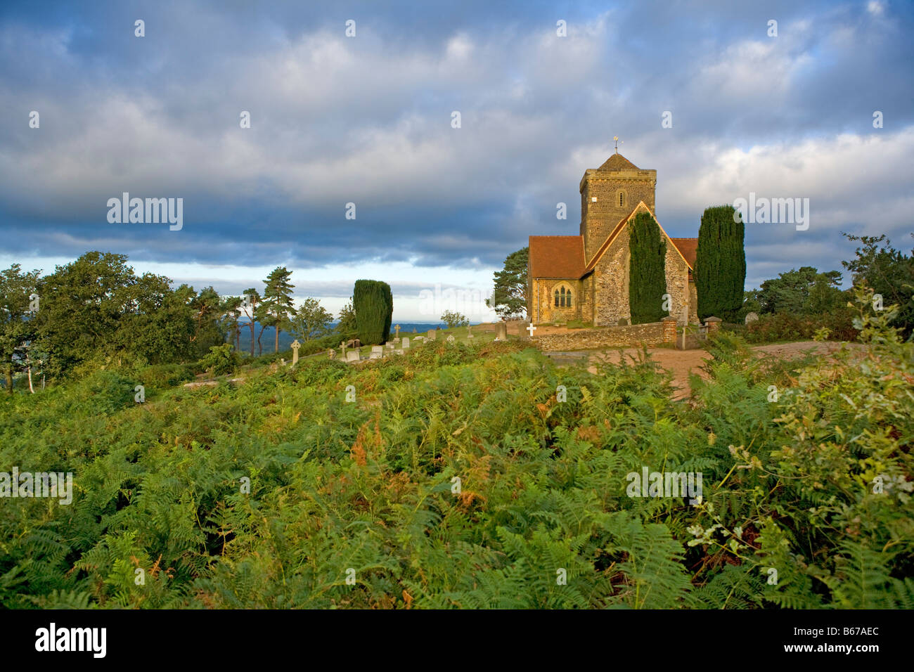 Kirche St. Martha auf North Downs Way Surrey Hills in der Nähe von Guildford Surrey England Stockfoto