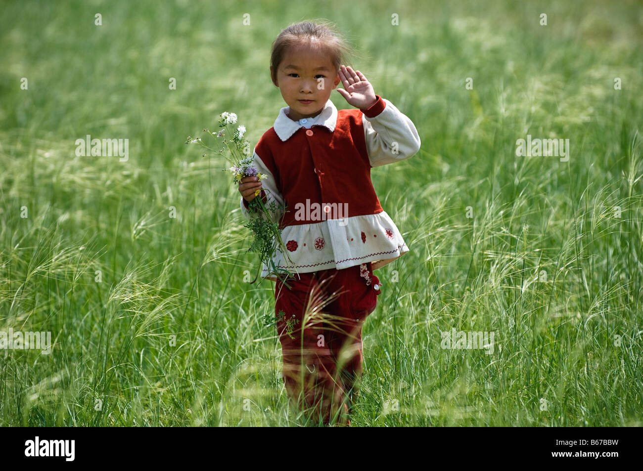 Ethnische mongolische Mädchen sammelt Grünland Blumen im Sommer Naadam Festival Xiwuzhumuqinqi Innere Mongolei China Stockfoto