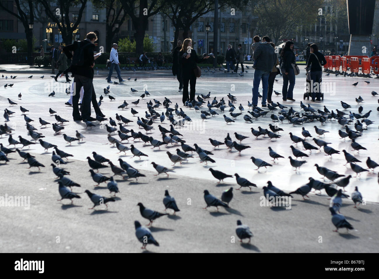 Touristen, die Fütterung der Tauben in Plaza Catalunya, Barcelona, Spanien Stockfoto
