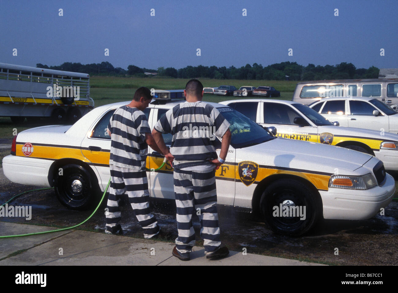 Gefangenen waschen Streifenwagen der Caldwell County Sheriffs Texas USA Stockfoto