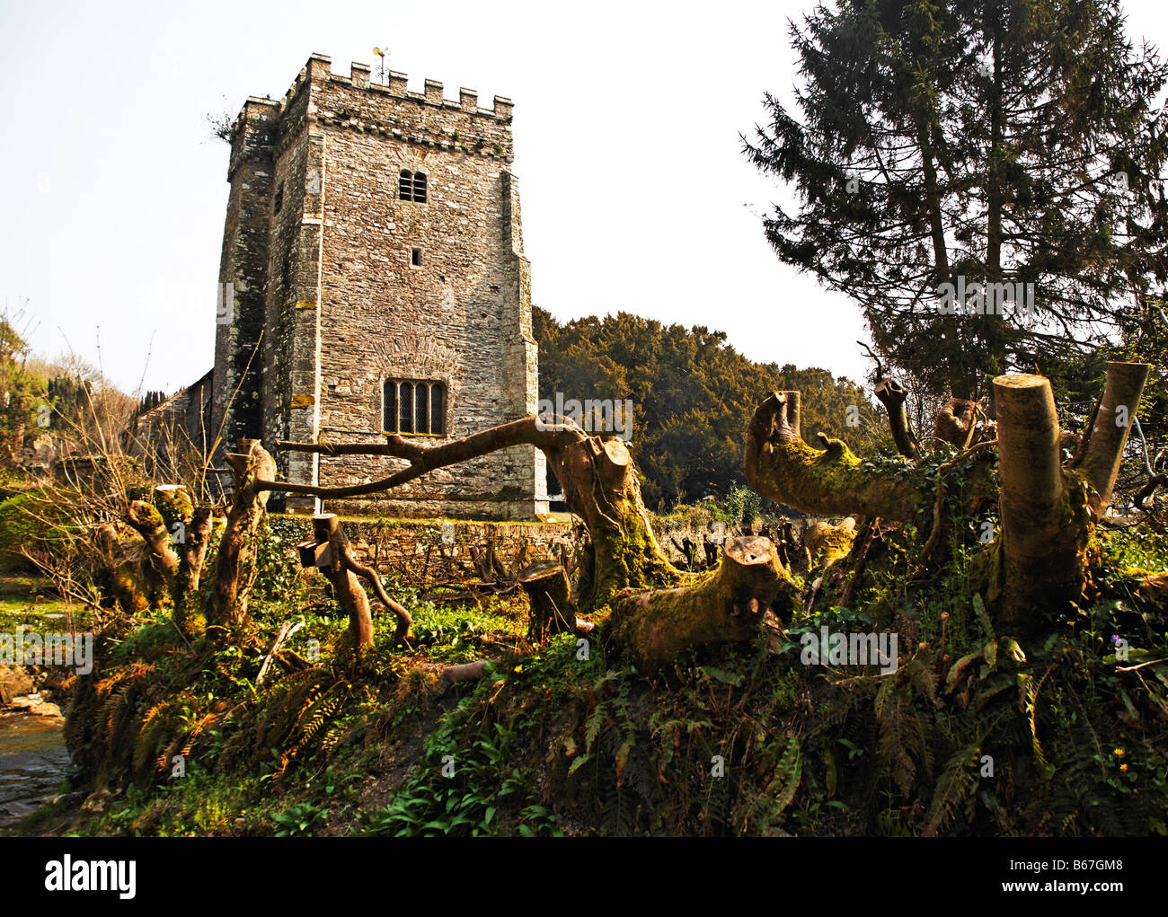 Nevern Kirche Pembrokeshire West Wales Großbritannien Großbritannien Europa Stockfoto