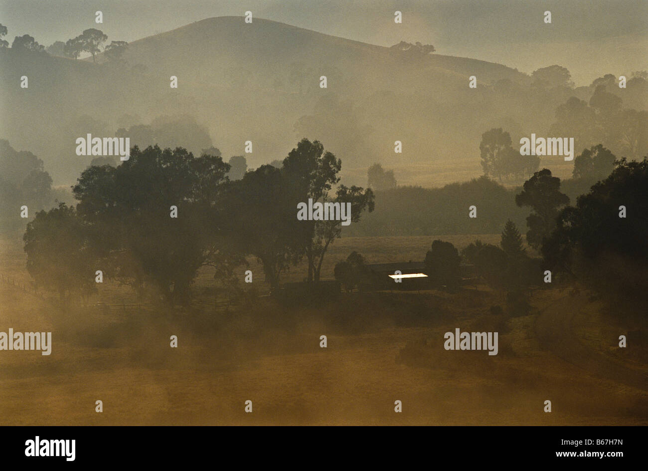 Morgennebel, Australien Stockfoto