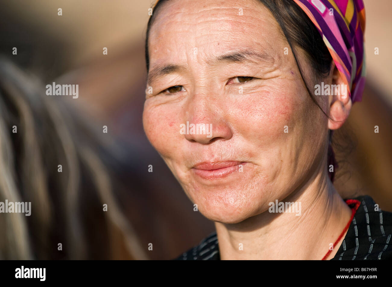 Ethnische mongolische Frau arbeitet mit Pferden Xilinhot Innere Mongolei China Stockfoto