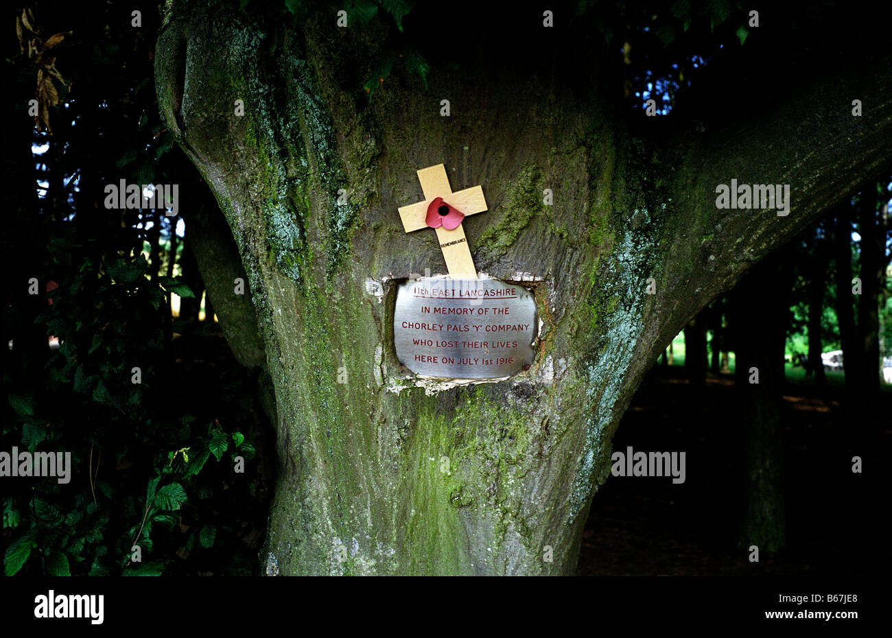 WW1 WELTKRIEG EIN KRIEG ERINNERUNG CHORLEY PALS Y UNTERNEHMEN EAST LANCASHIRE KREUZ POPPY ERINNERN ERINNERUNG-GESCHICHTE-FRANKREICH-BELGIEN-FLAN Stockfoto