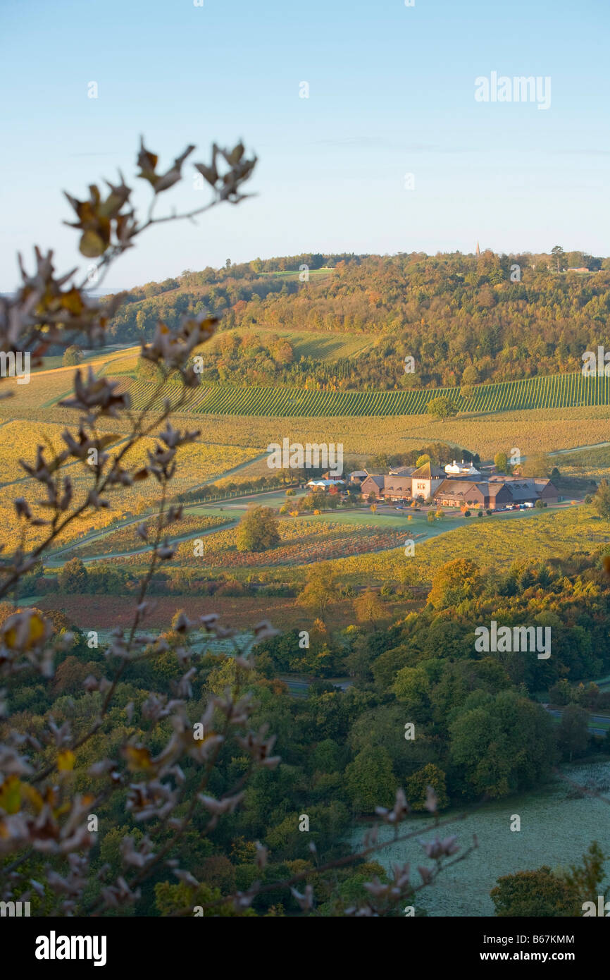 Blick vom Box Hill [Denbies Weinberg] Wine Estate Dorking Surrey Herbstfärbung Stockfoto