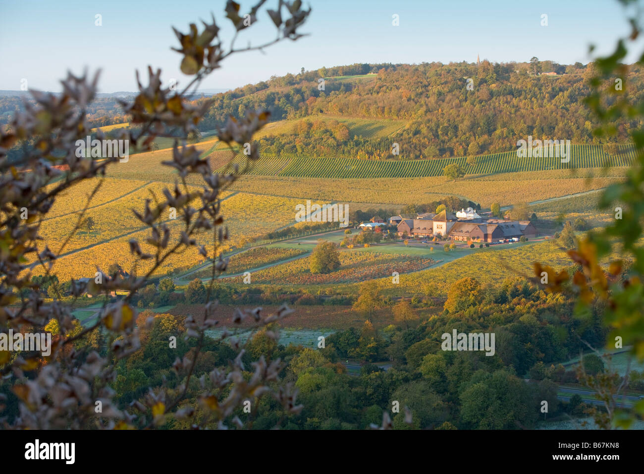 Blick vom "Box Hill'of Denbies Weinberg Weingut Dorking Surrey Herbstfärbung Stockfoto