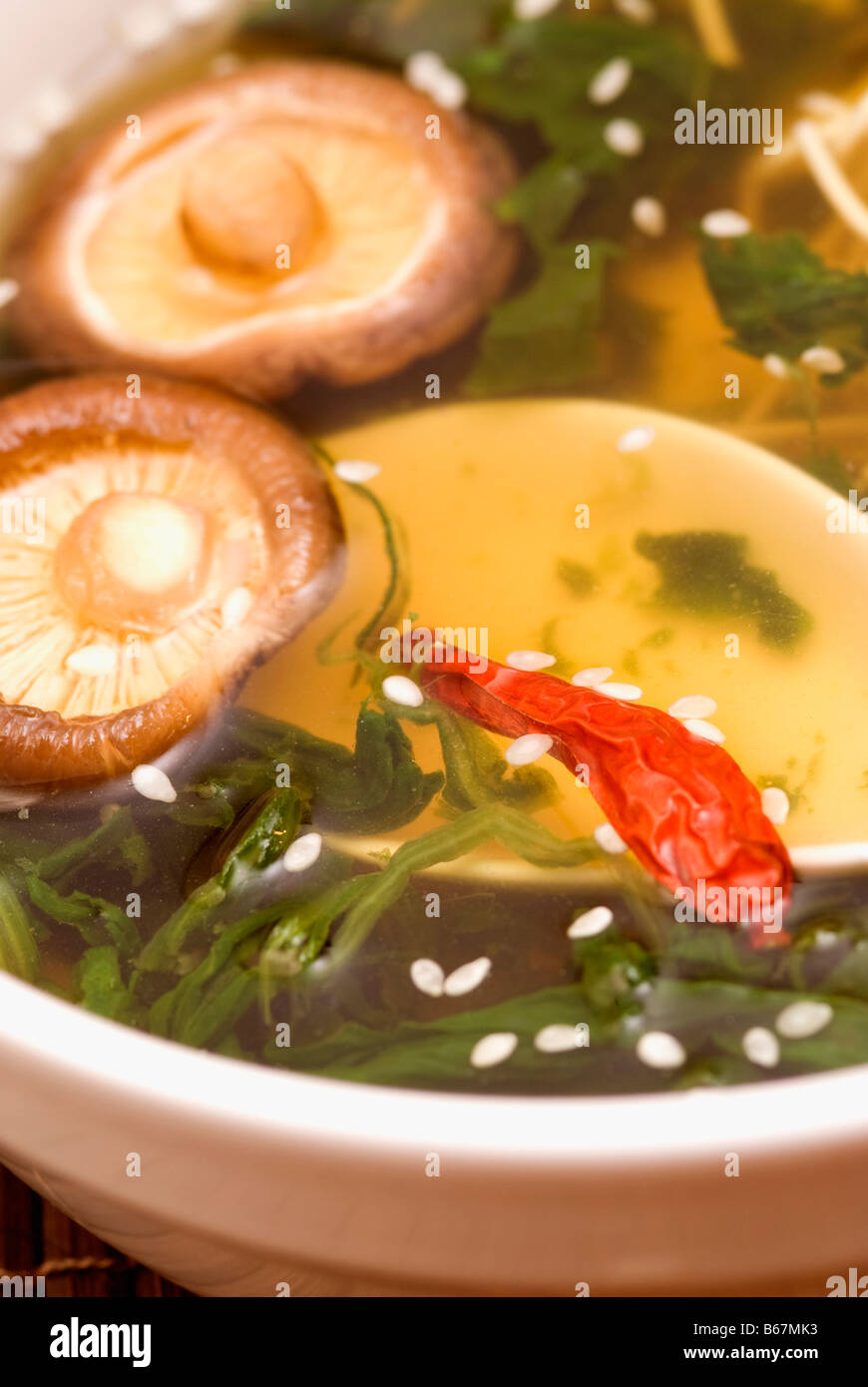 Nahaufnahme von roten Chilischote mit Hon Shimeji Pilze in eine Schüssel geben Stockfoto